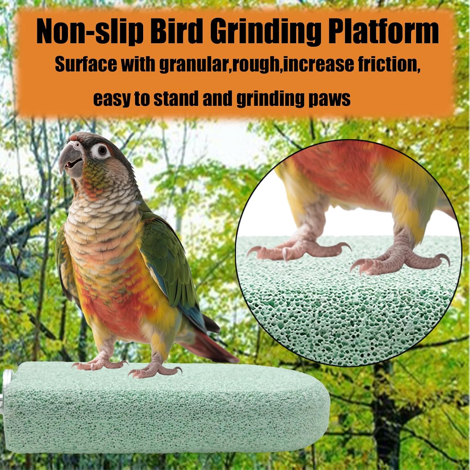 Pet Teeth Grinding Stone and Perch, Bird Perch Stands, Natural Chewing Toys for Small Medium Birds Budgies Conures Cockatiels Rats (4 Colores, Big) image 5