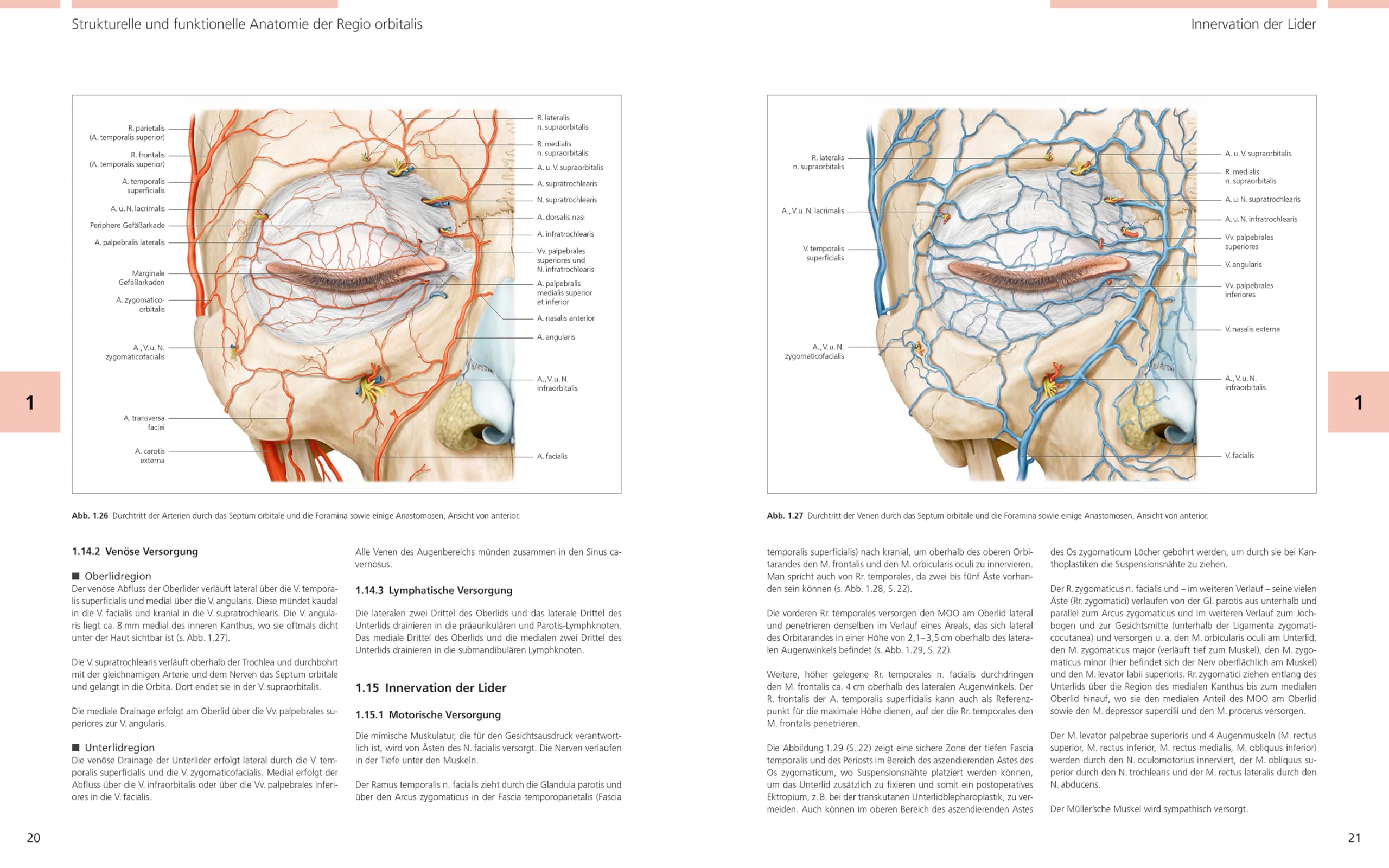 Bildatlas Lidchirurgie: Angewandte Anatomie | Untersuchung | Plastische Lidchirurgie