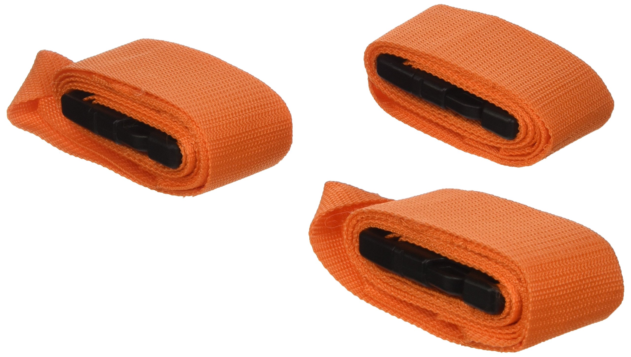 Gima 34081 Cinghie per Barelle