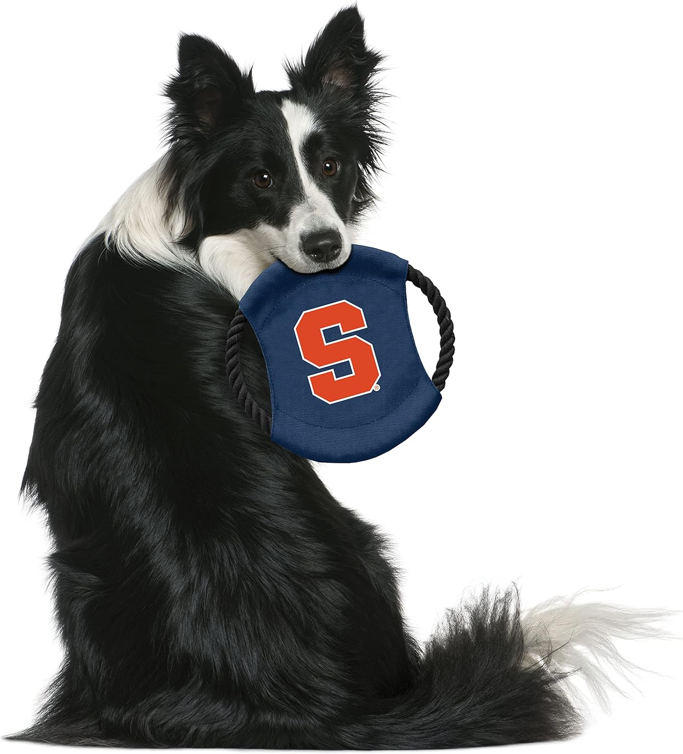 Littlearth NCAA Unisex NCAA Sock Monkey and Flying Disc Pet Toy Combo Set