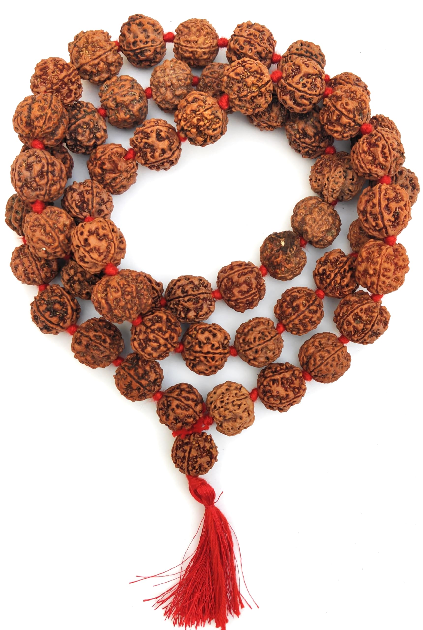 5 Mukhi Rudraksha Mala - Natural & Lab Certified -1
