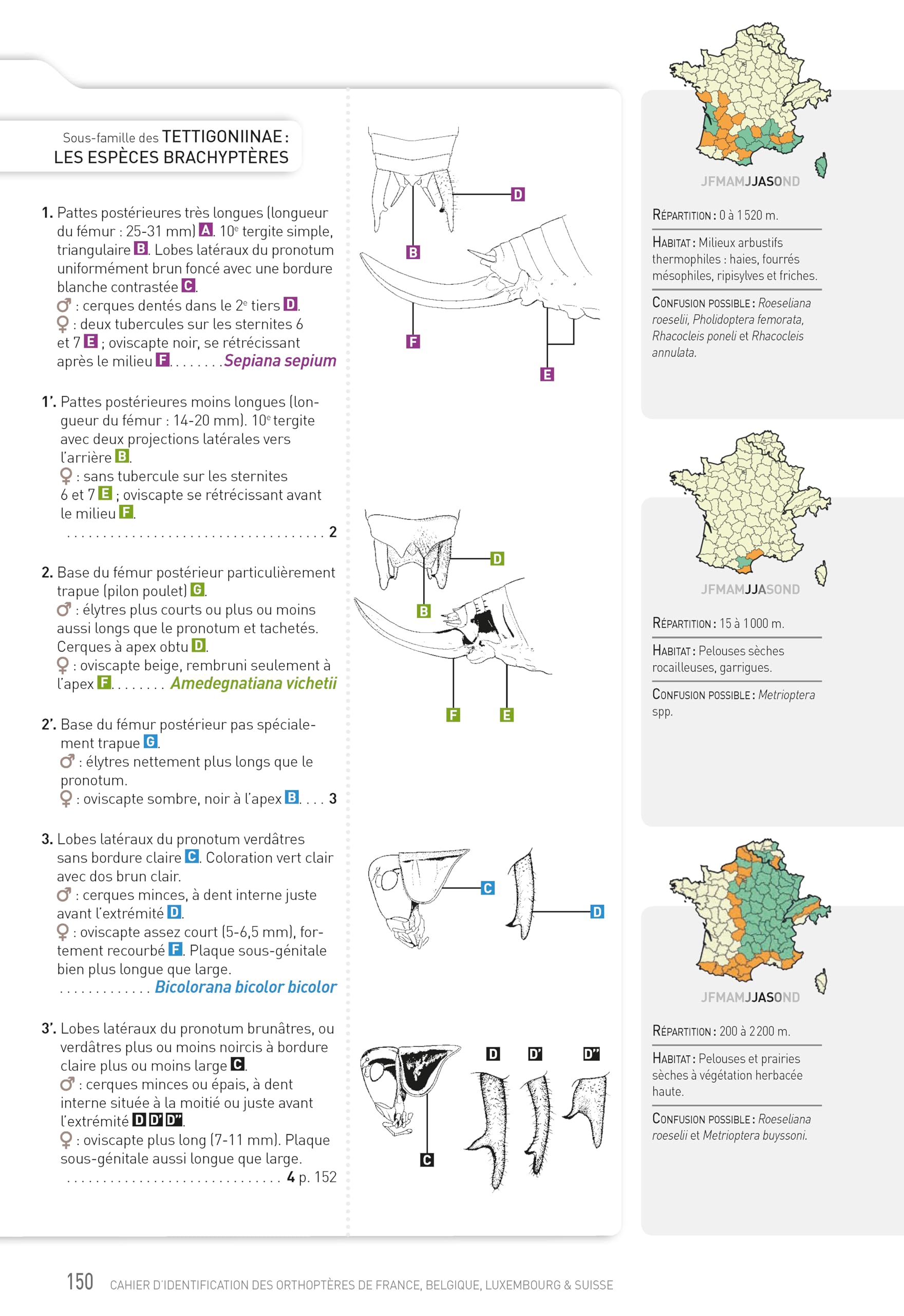 Cahier d'identification des Orthopteres France Belgique Luxembourg Suisse 2e edition: Toutes les espèces Sauterelles, Grillons & Criquets
