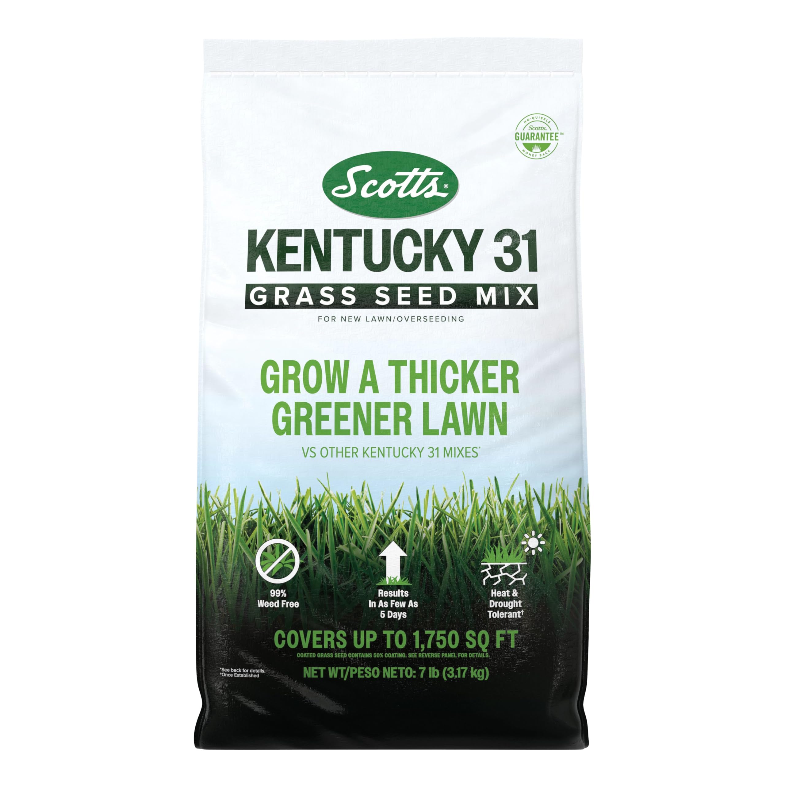 Scotts Kentucky 31 Grass Seed Mix