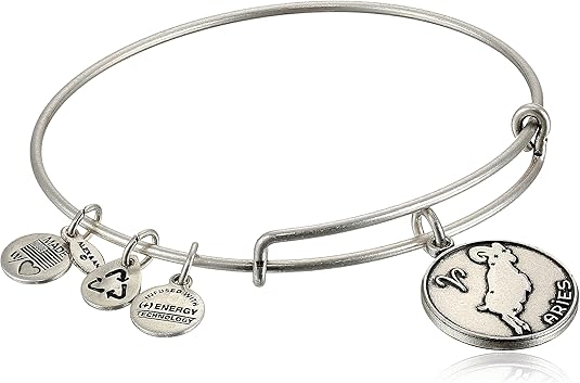 Zodiac II Expandable Wire Bangle Bracelet