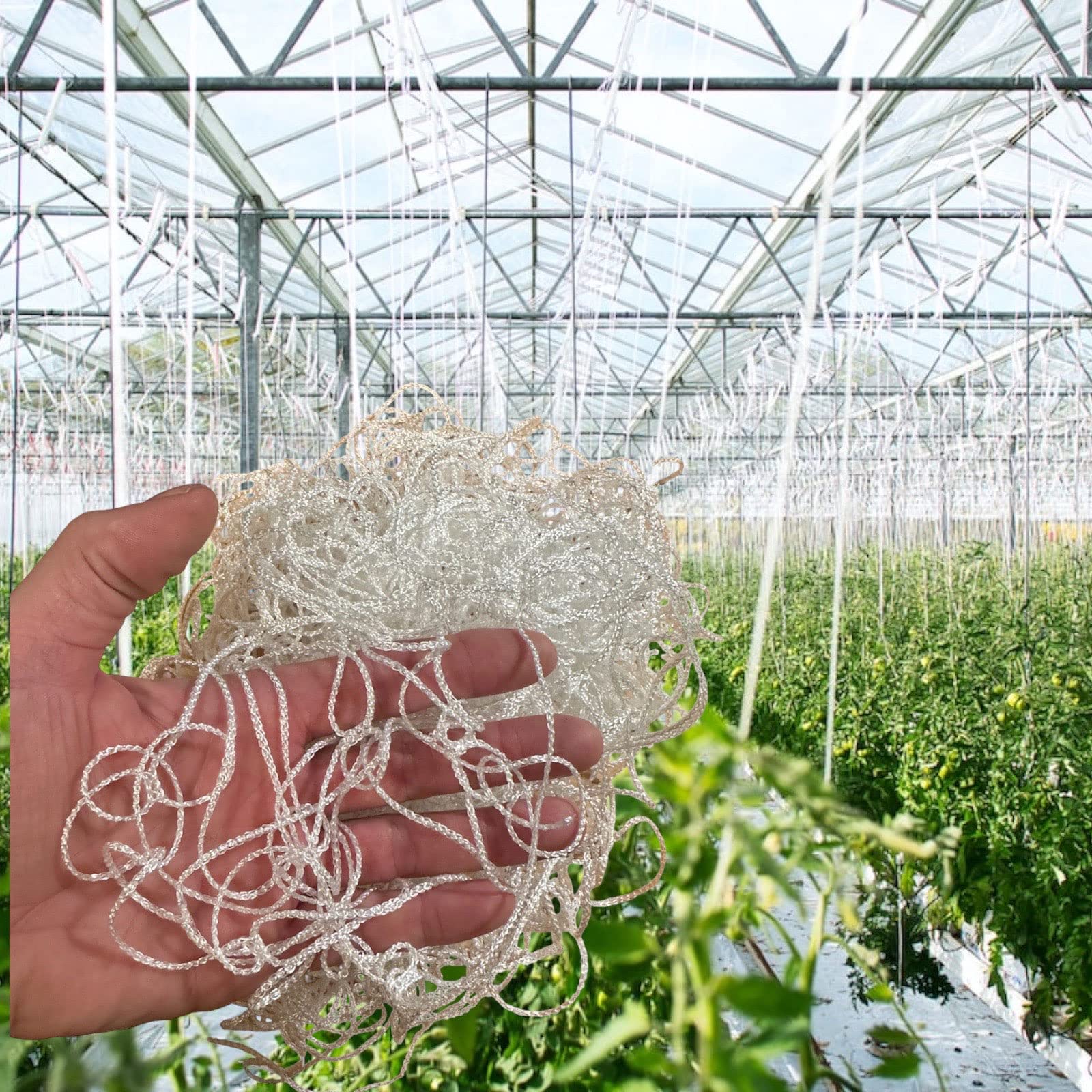 4 Stück Rankhilfe Netz Kletterpflanzen Gewächshaus Gurken Stutznetz Tomaten Pflanzennetz Maschenweite 15 cm Rank-Gitter Gurkennetz Pflanzenstütznetz von all-around24 (4 Stück 1,8 X 3,0 Meter) Garten