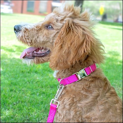 Miniatura 3 de Country Brook Petz  Collar de nailon premium con hebilla de metal para perro para razas pequeñas, medianas y grandes  Más de 10 colores geniales