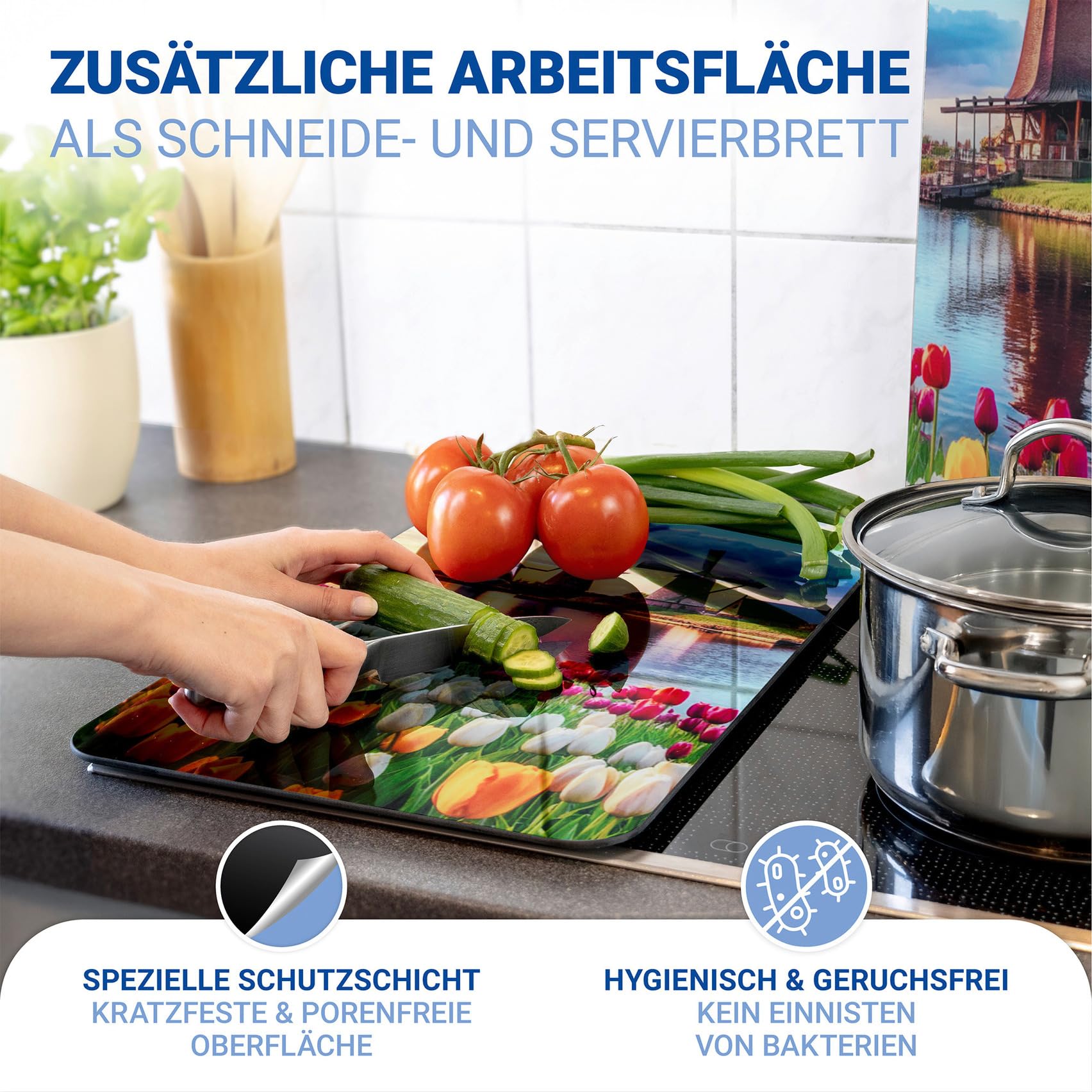 WENKO Placas protectoras cocina Mod Molino Viento ajustable altura 30x52 cm juego 3 vidrio