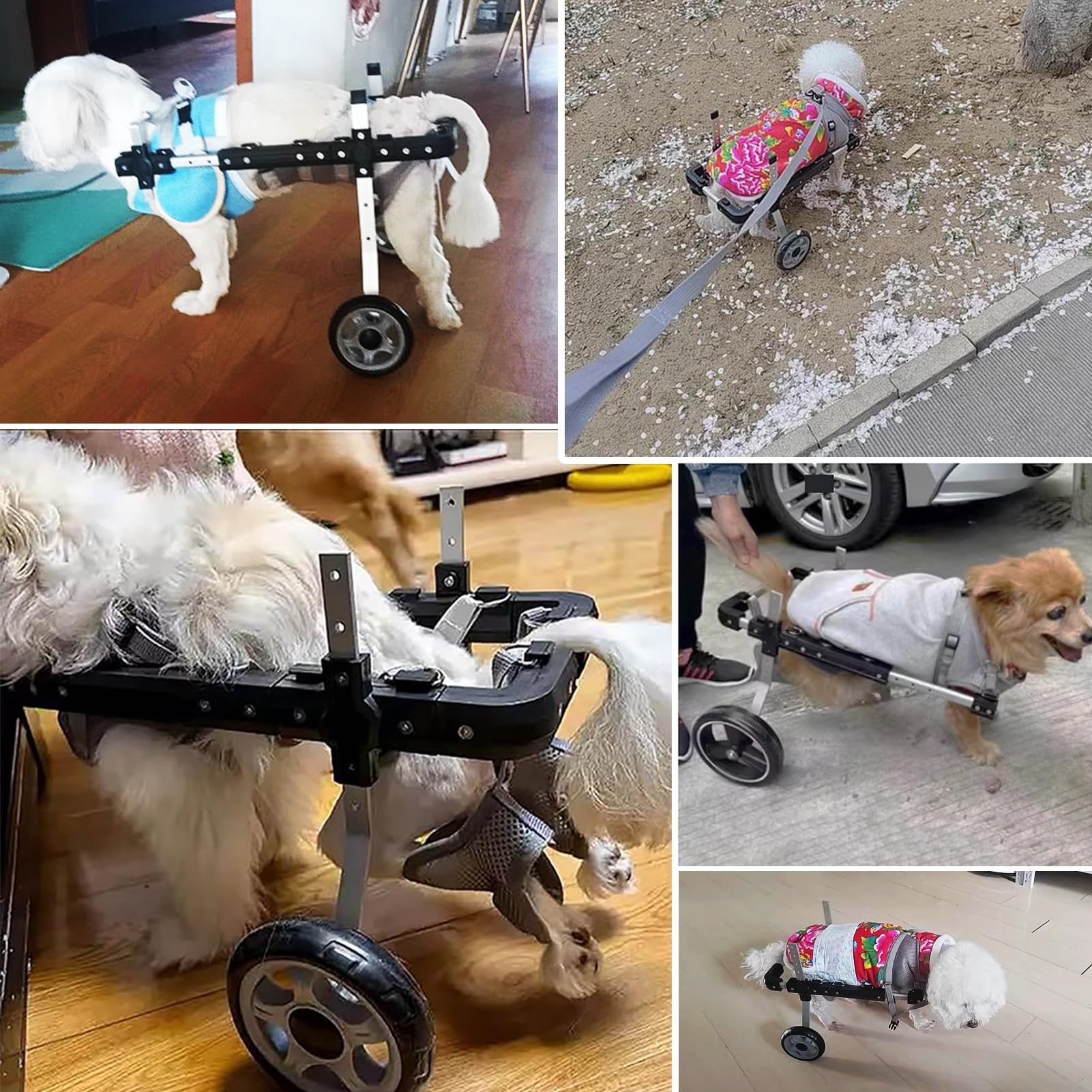Silla de ruedas ajustable para perros discapacitados, soporte trasero para patas para parálisis, artritis, displasia de cadera, ayuda de movilidad para perros lesionados o discapacitados