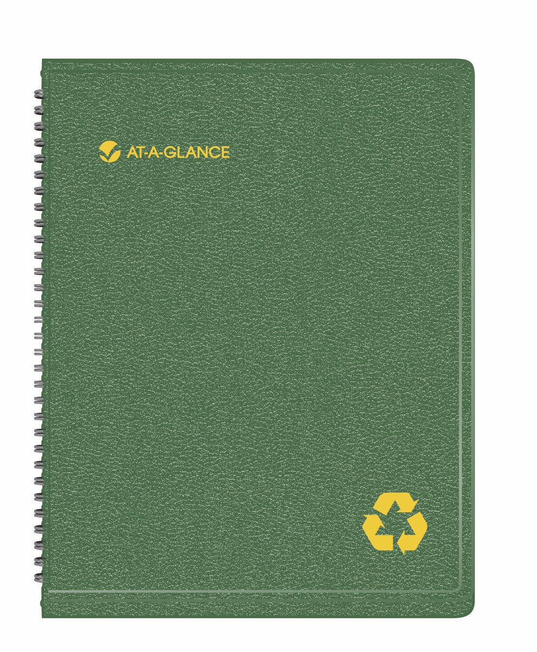 AT-A-GLANCE 2014 Weekly and Monthly Appointment Book, Green, 8.88 x 11.38 x .50 Inches (70-950G-60)