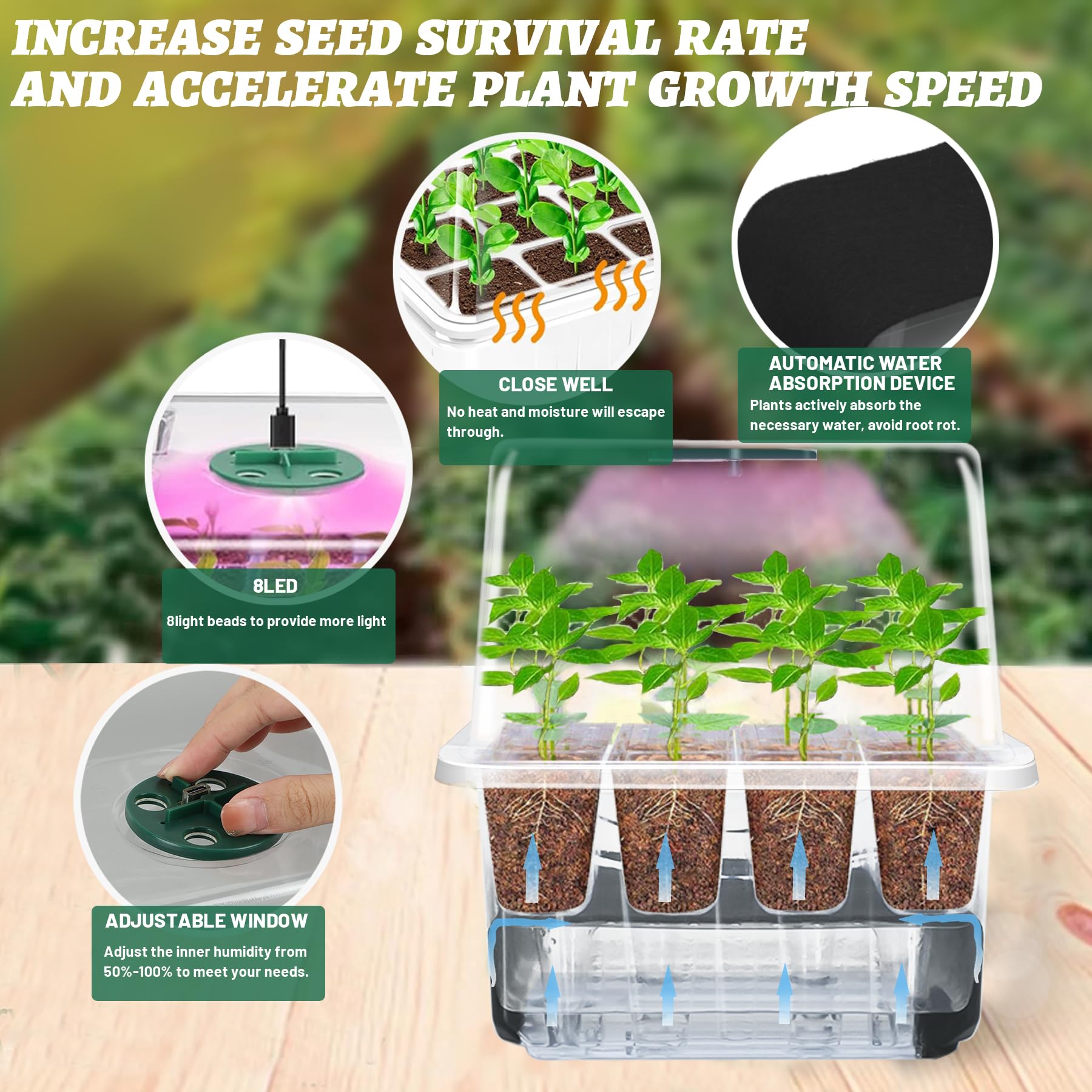 VEEKAY 6 Pièces Auto-arrosant Mini Serre pour Plantes kit,Kit de Culture Serre avec LED luminosité réglable,avec Coussin Absorbant,Température et humidité réglables,avec kit D'outils De Plantation