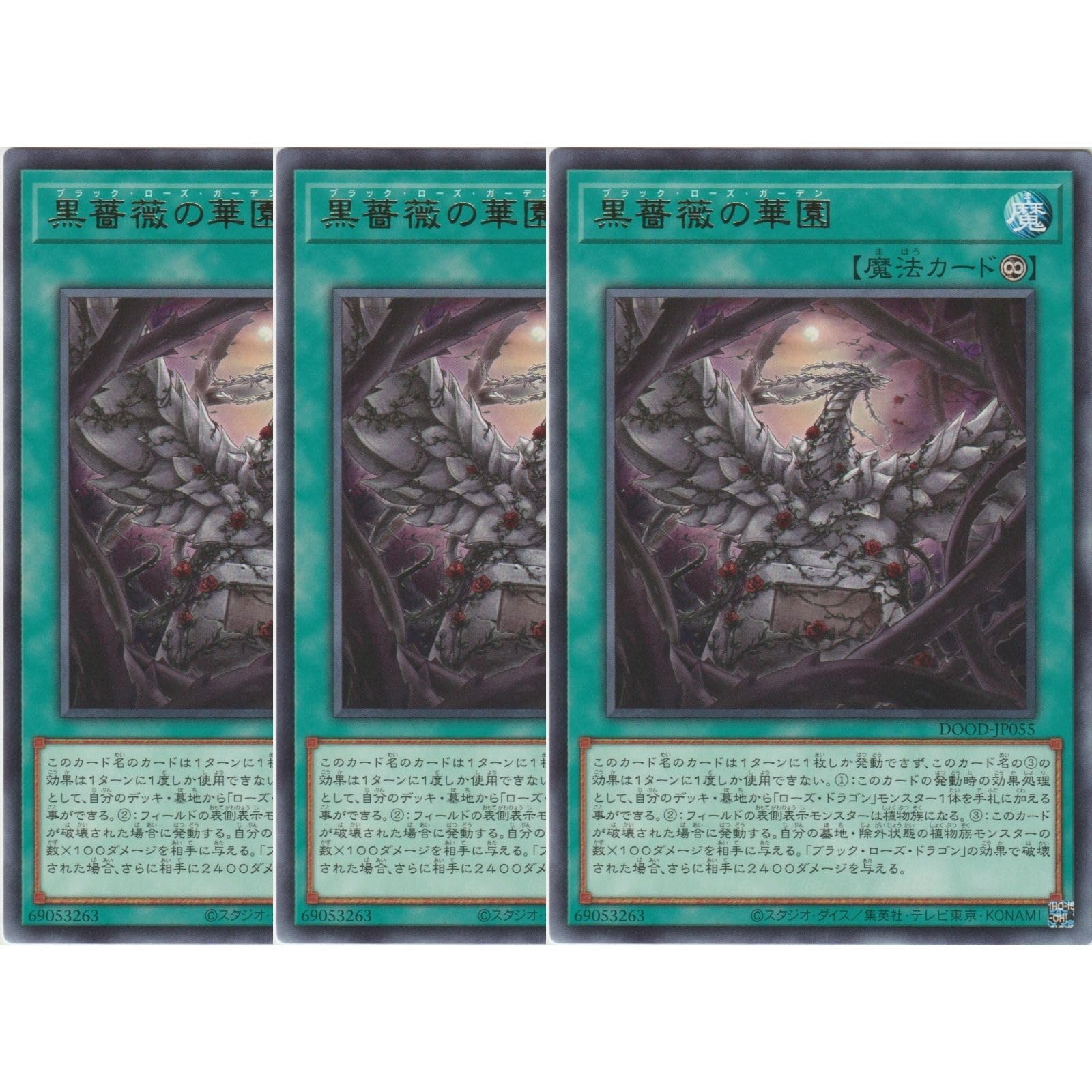 Amazon.co.jp: 【3枚セット】 DOOD-JP055 黒薔薇の華園 ブラック