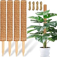 Vista 9 de JJGoo Poste de musgo para plantas Monstera, paquete de 2 postes de soporte para plantas de 23.6 pulgadas, poste de tótem de fibra de coco extensible