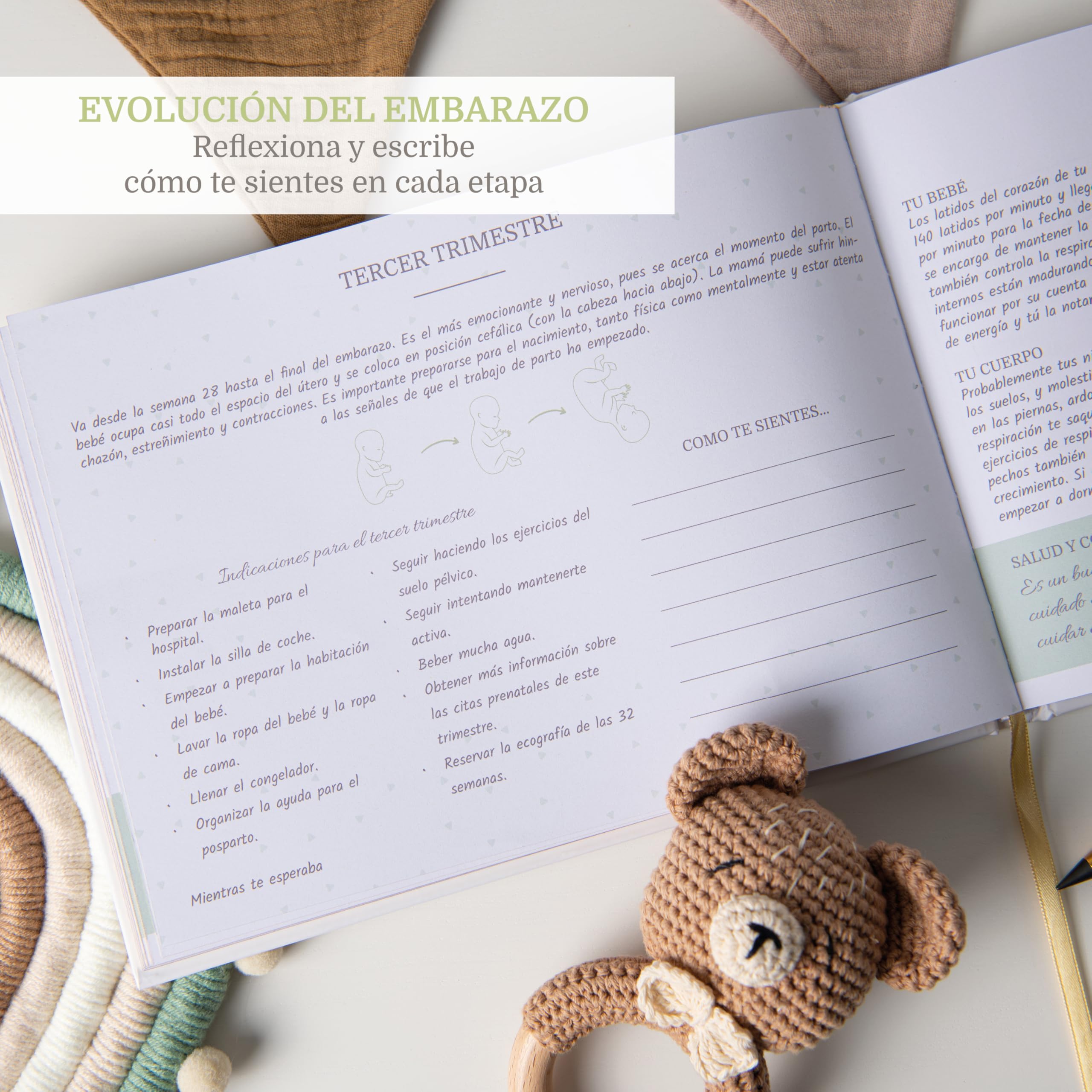 Diario Embarazo + Lápiz Metálico + Caja Regalo con Cierre Magnético | Album Embarazo | Libro Embarazo | Agenda Embarazo | Regalos Embarazadas Originales. (Español)