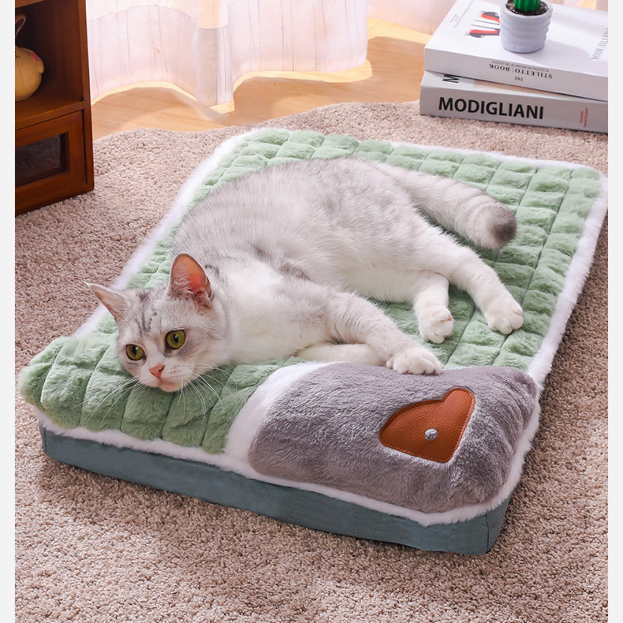Hundekissen Waschbar, Hundedecke Flauschig mit Kissen, Plüsch Hundebett Mittelgroße Hunde, Katzenkissen für Haustiere Aller Größen (Grün,60x40 cm)