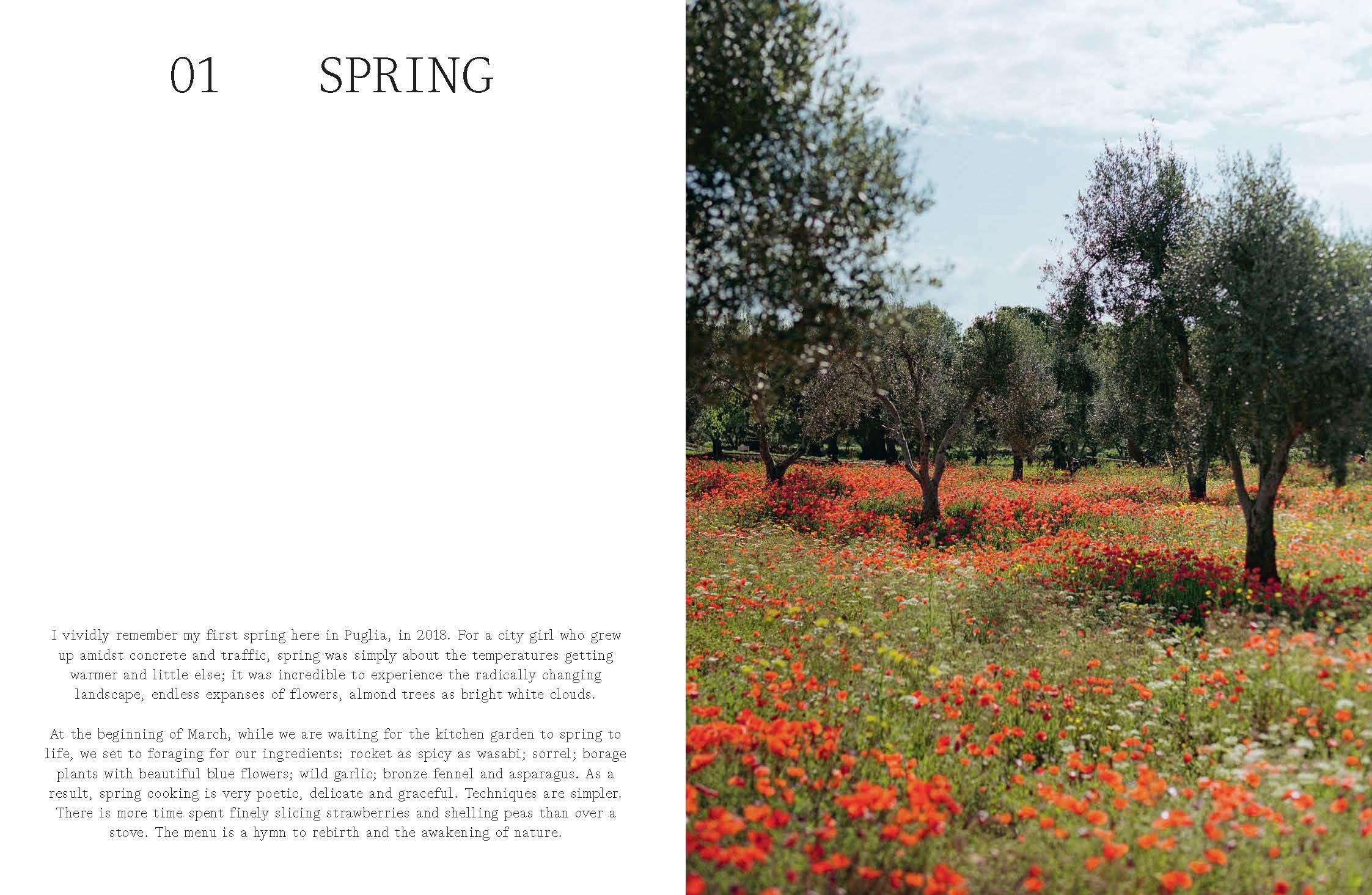 Moroseta Kitchen: Recipes and Stories from a Modern Puglian Farmhouse