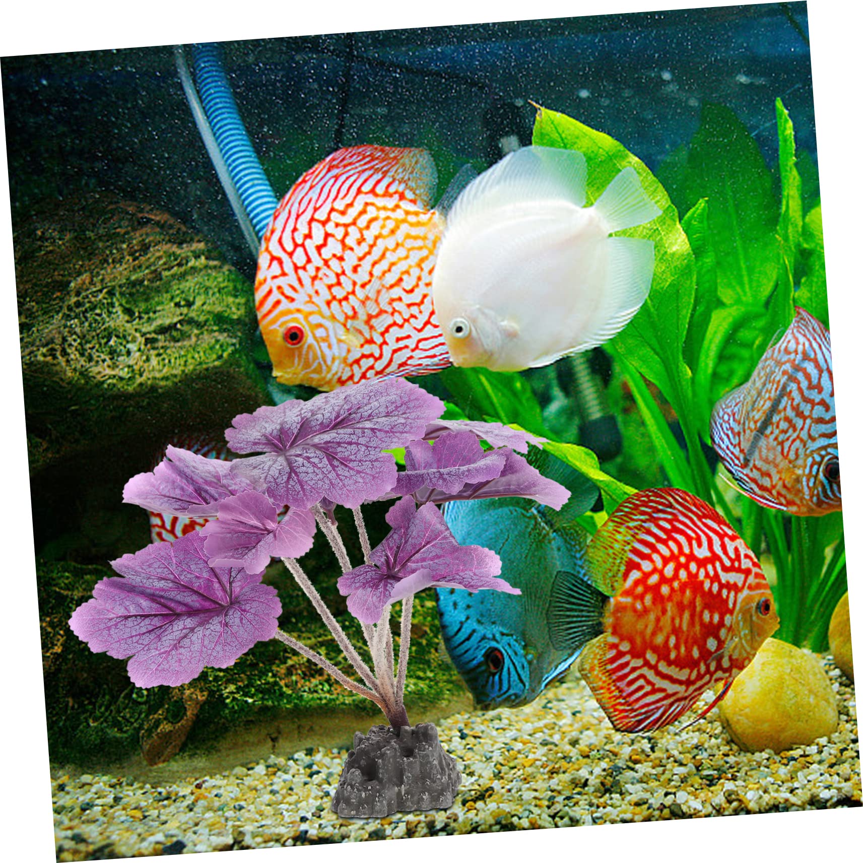 YARNOW 3 Pezzi acquario paesaggistico piante acquatiche piante d'acquario viola finta sott'acqua impianti pianta artificiale da plastica Viola,porpora