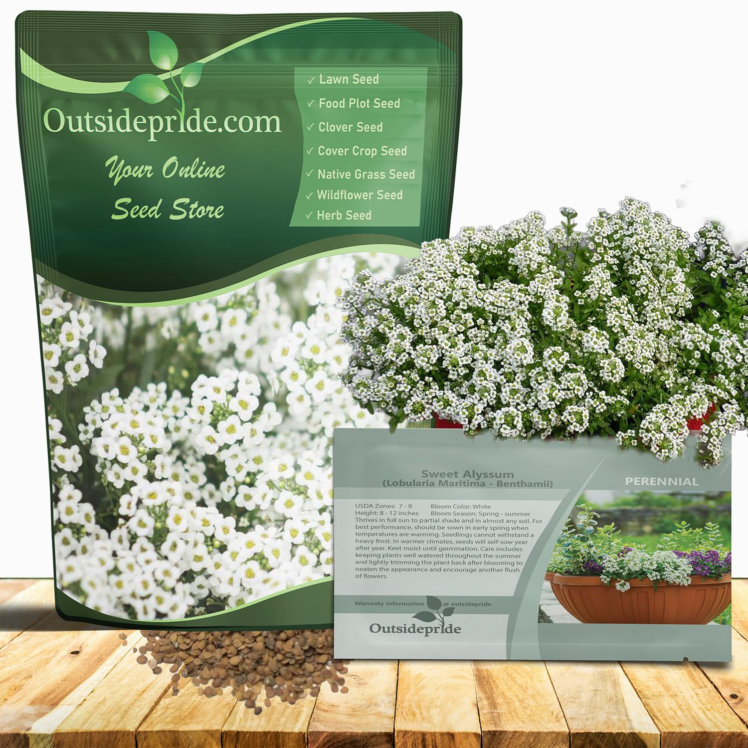 Outsidepride Perennial Sweet Alyssum Seeds - 5,000 Pieces White Lobularia Maritima Seeds for Ground Cover, Pollinator-Friendly Gardens, Drought-Tolerant Landscaping, Easy-to-Grow in USDA Zones 7-9