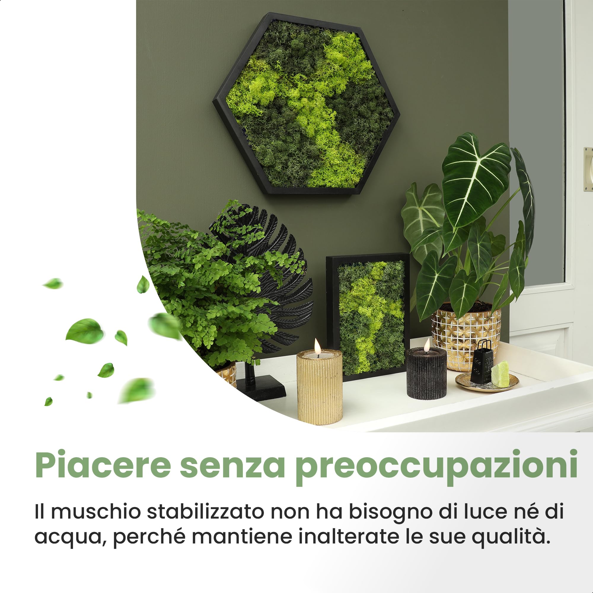 comforder Quadro Muschio Stabilizzato, Esagonale Ø 38 cm, Bicolore
