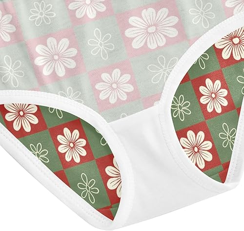 Girls' Underwear Christmas Texture Flowers Floral Toddle Brief Panties 2T A2307221(Pear,3T)