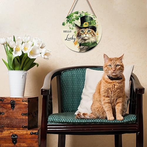 Miniatura 11 de Cartel divertido de No Soliciting para casa de 12 x 12 pulgadas, letreros de madera para puerta delantera, rústico, no solicitar, decoración Sin