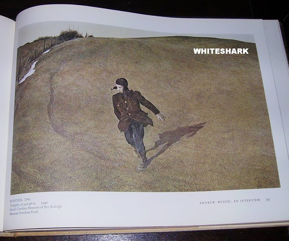 Amazon | Art of Andrew Wyeth | Corn, Wanda M. | History