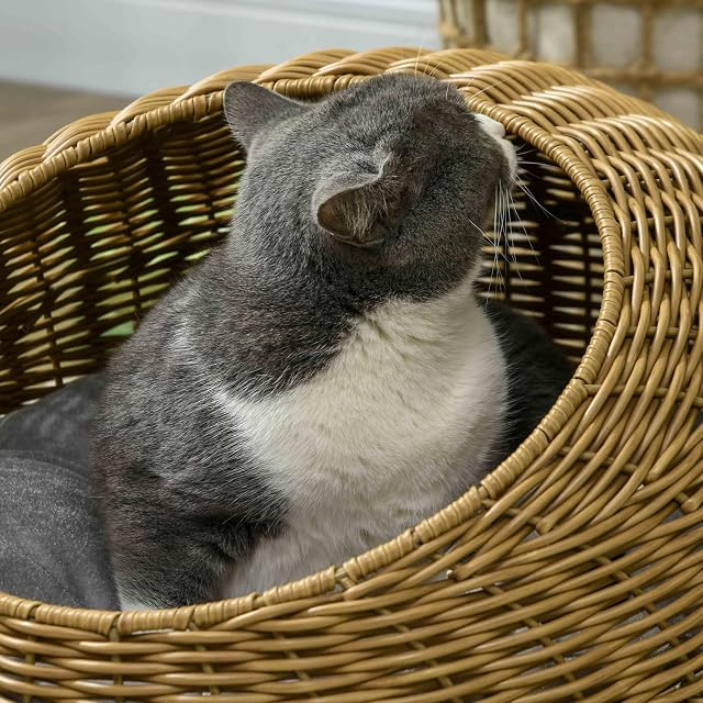 Foto 7 de 8 de PawHut Cesta ratán gato, cueva gato hasta 4 kg Ø50x31 cm Marrón claro