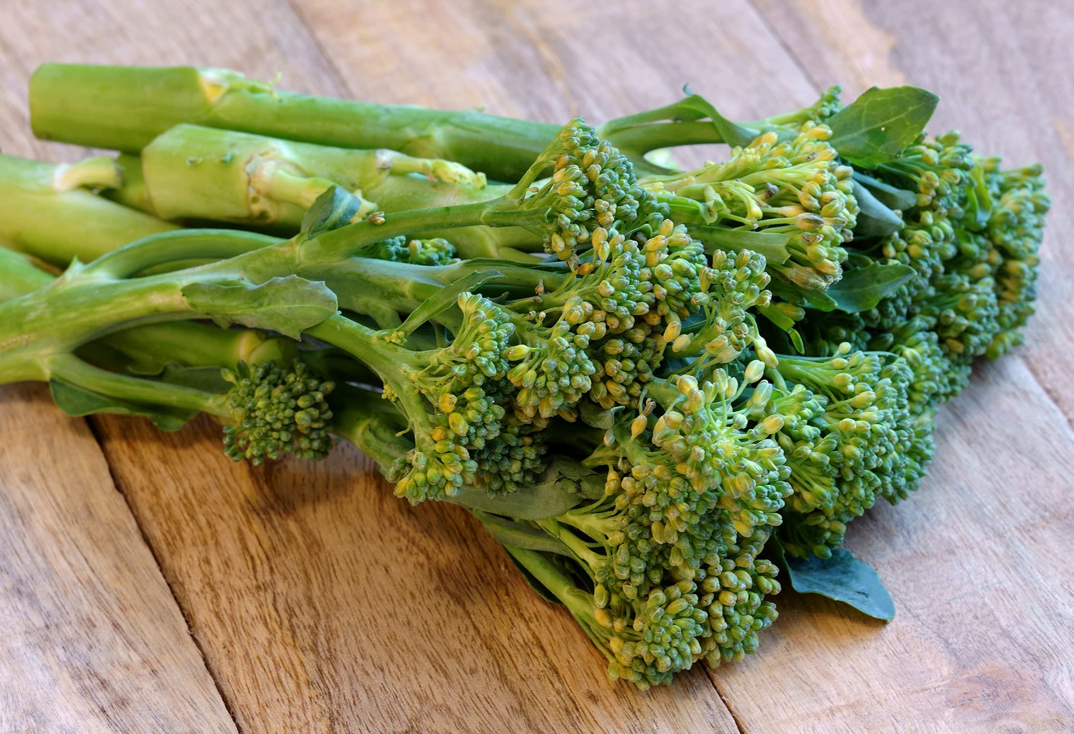 Italienischer Spargel-Brokkoli "Sessantina" – auch bekannt als Cima di Rapa, Broccoli Raab, Stängelkohl – Wichtige Infos – bitte lesen! – 500 Samen