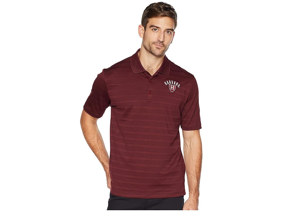 

Champion College Harvard Crimson Solid Polo (Maroon) Boy's Clothing