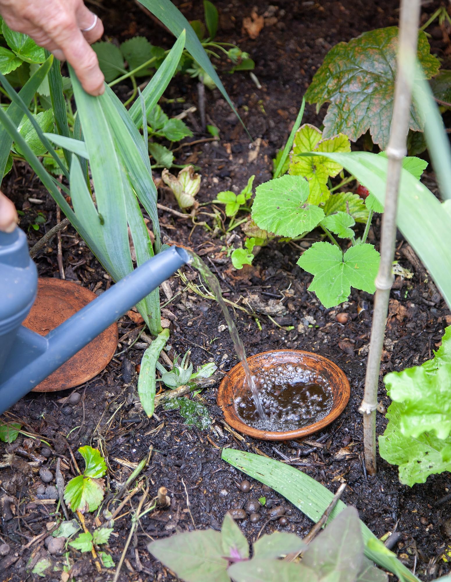 OYAS® A ENTERRER Taille M – 1,5L – BACS Potager-Pots-MASSIFS-OLLAS Terre Cuite – Fabrique en France. Solution d'irrigation écologique, 100% biodégradable. Autonomie 3 à 6 Jours