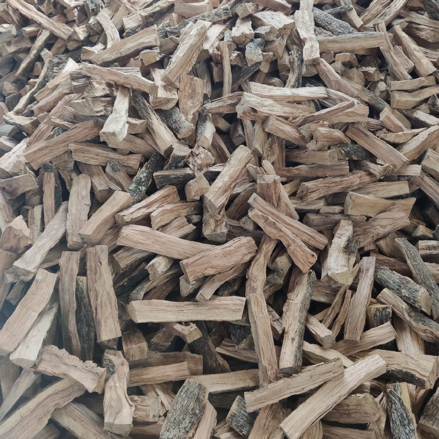 FEMIRO Legna da Ardere di Ulivo per Stufe 25–30 cm su Bancale 700 kg – Legna per Stufa e Camino – 100% Ulivo Made in Italy – In Omaggio 4 Sacchetti di Scaglie di Ulivo Accendifuoco