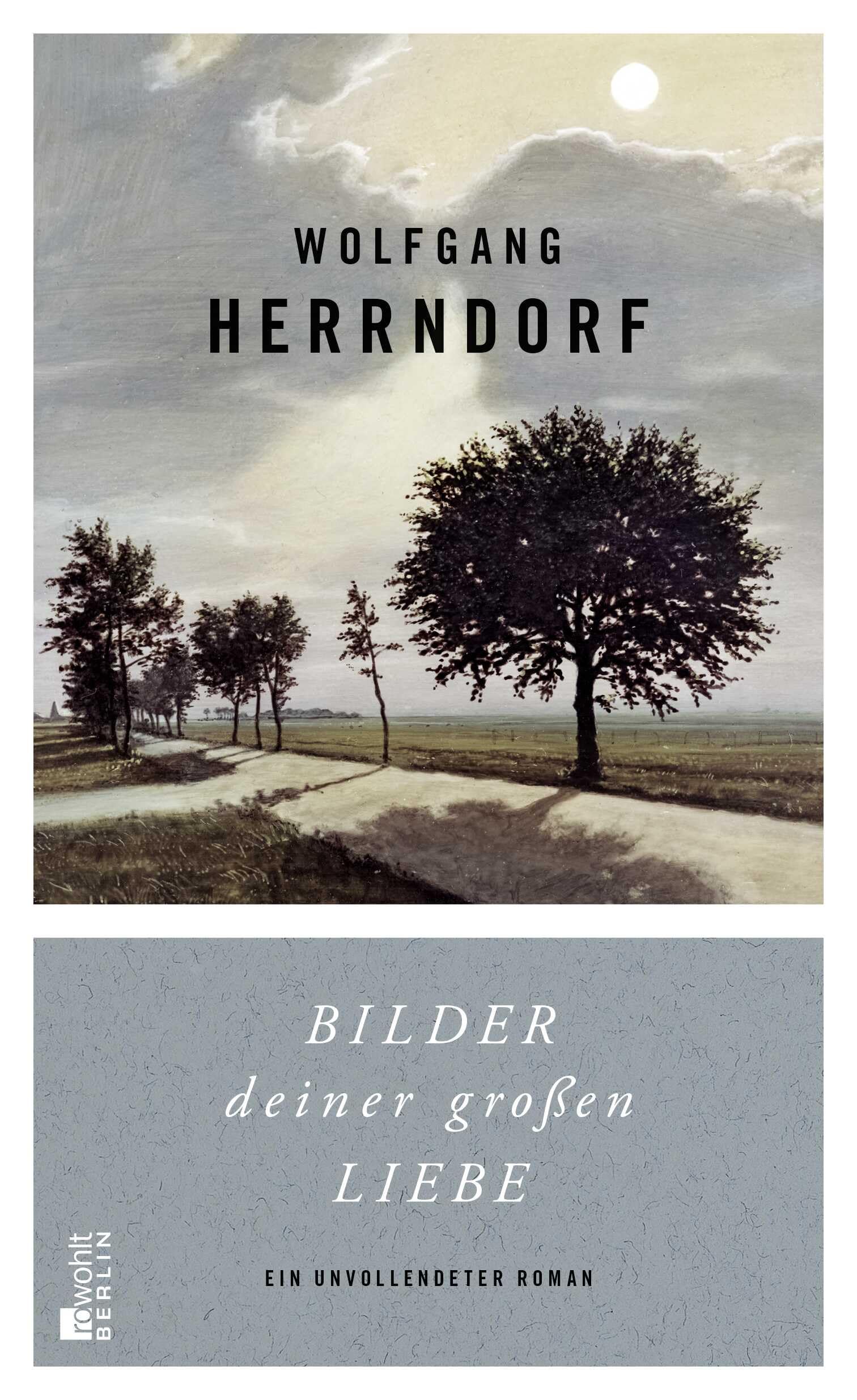 Bilder deiner großen Liebe: Ein unvollendeter Roman
