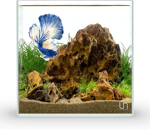 Ultum Nature Systems Ultra Clear Rimless Aquarium - Low Iron Glass Fish Tank with 45° Mitered Edges, 5mm-12mm Thick, Leveling Mat Included (25C, Cube, 4 Gallon)