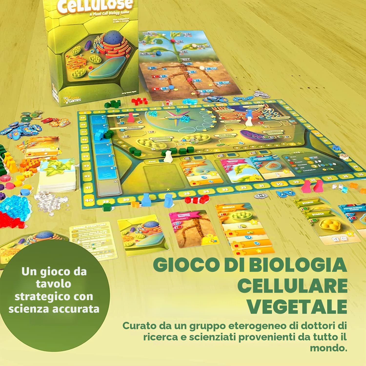 Cellulosa: un gioco di biologia cellulare vegetale | Gioco strategico e divertente consigliato da MENSA per imparare la fotosintesi, il DNA e la biochimica | Gioco da tavolo STEM educativo per
