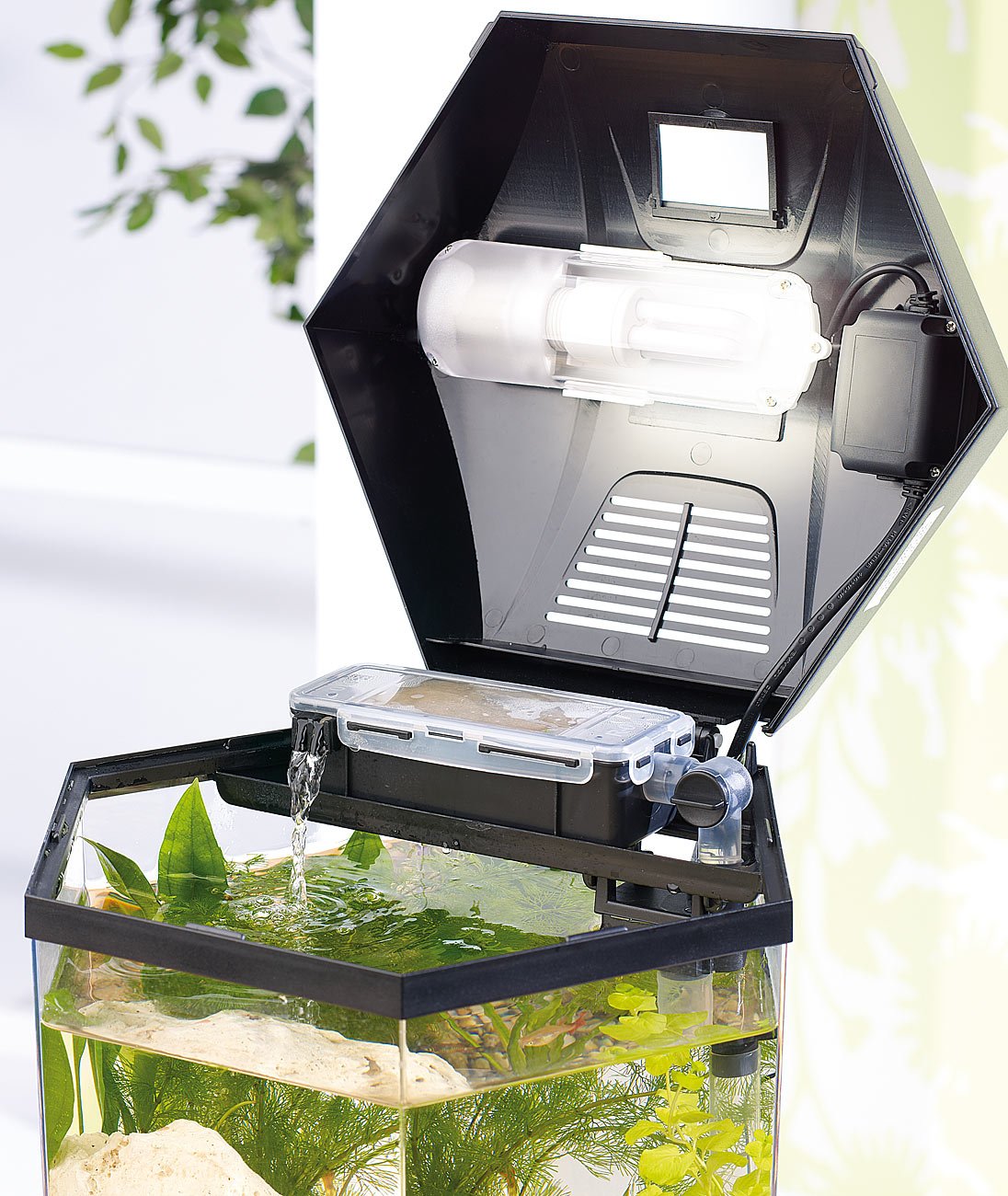 infactory Mini Aquarium Set: Beleuchtetes Panorama-Aquarium Hexagon, Komplett-Set, 19 l (Mini Komplettset, Panorama Komplettset, Eck)
