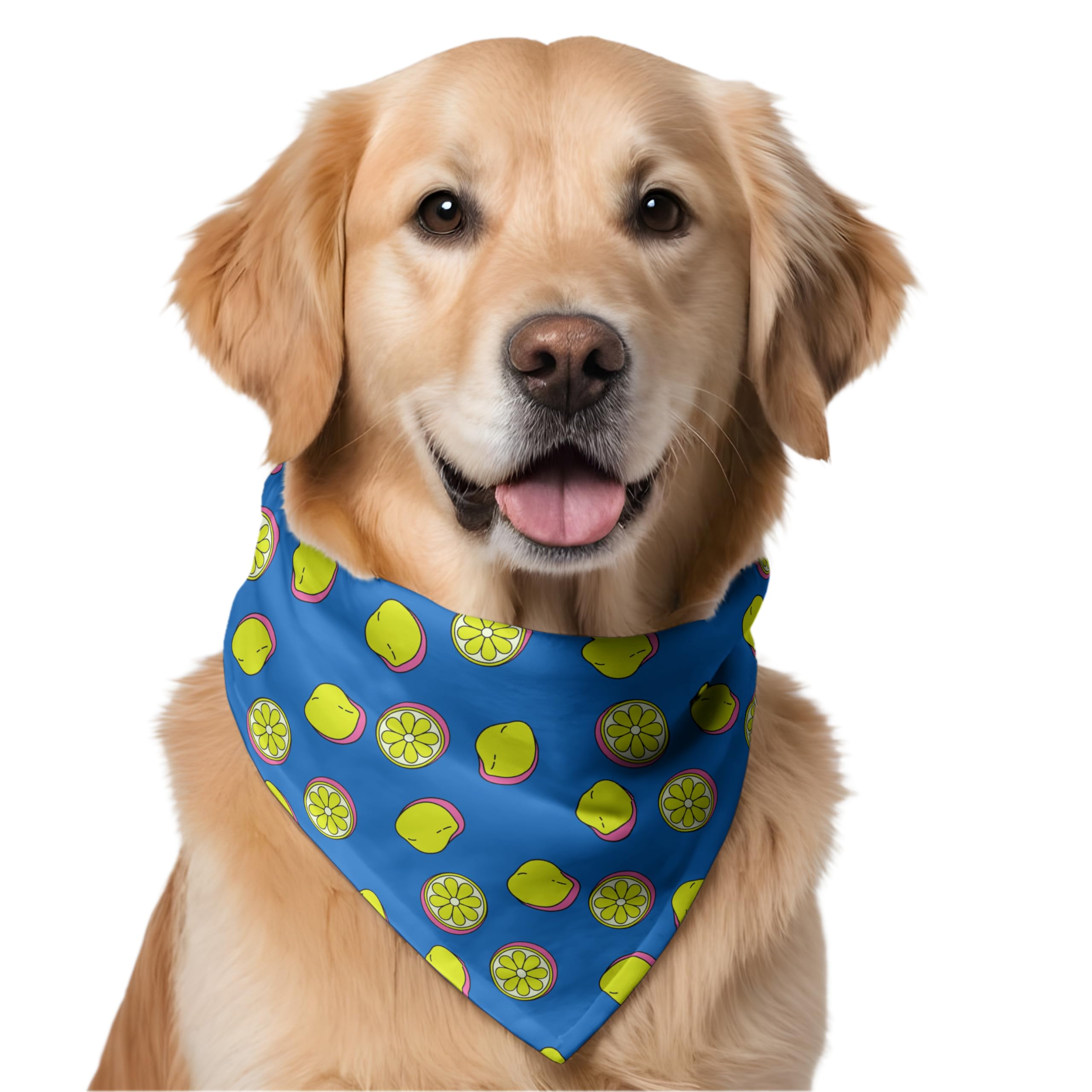 W Brings Yummy Lemons Dog Bandana/Scarf | This Stunning Gorgeous Design Dog Bandana Scarf is Perfect Styling Accessory for Dogs Large, Medium & Small. One Size Fits All. (B09V81V4RS) Amazon Price History, Amazon Price Tracker