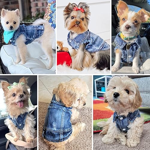 Miniatura 7 de Chaqueta de mezclilla para perro, chaleco de solapa de mezclilla azul, disfraz lindo para niña, niño, perro, ropa cómoda y fresca, para perros