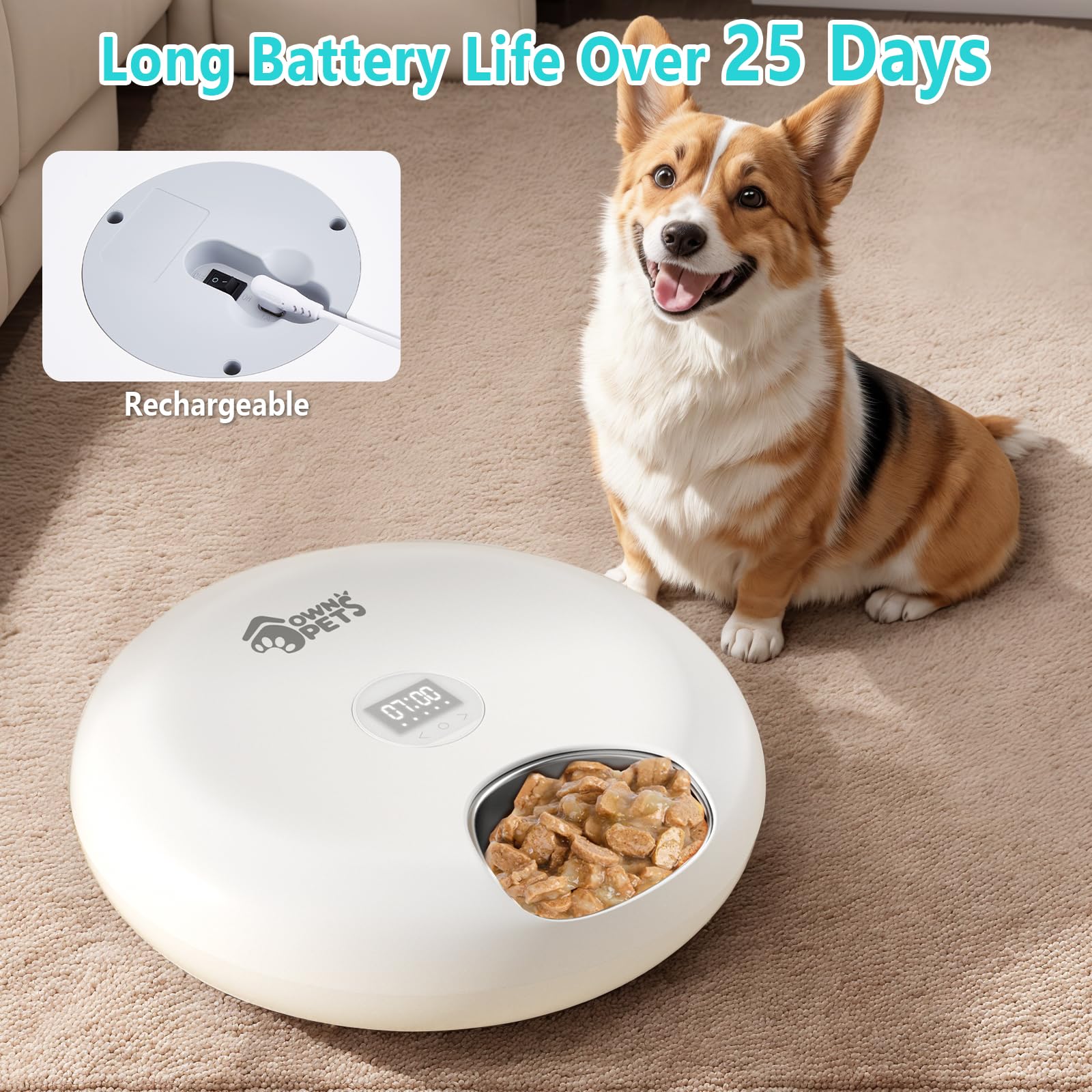 Ownpets Alimentatore automatico per animali domestici con timer in acciaio inossidabile | Cibo umido, alimentatore USB a batteria, due confezioni di ghiaccio, 6 pasti ciascuno 0,2 kg