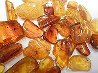 Vista 3 de Auténtica resina de ámbar báltico fósil con inclusión de insectos de Lituania con lupa gratis, soporte de exhibición acrílico, hoja informativa