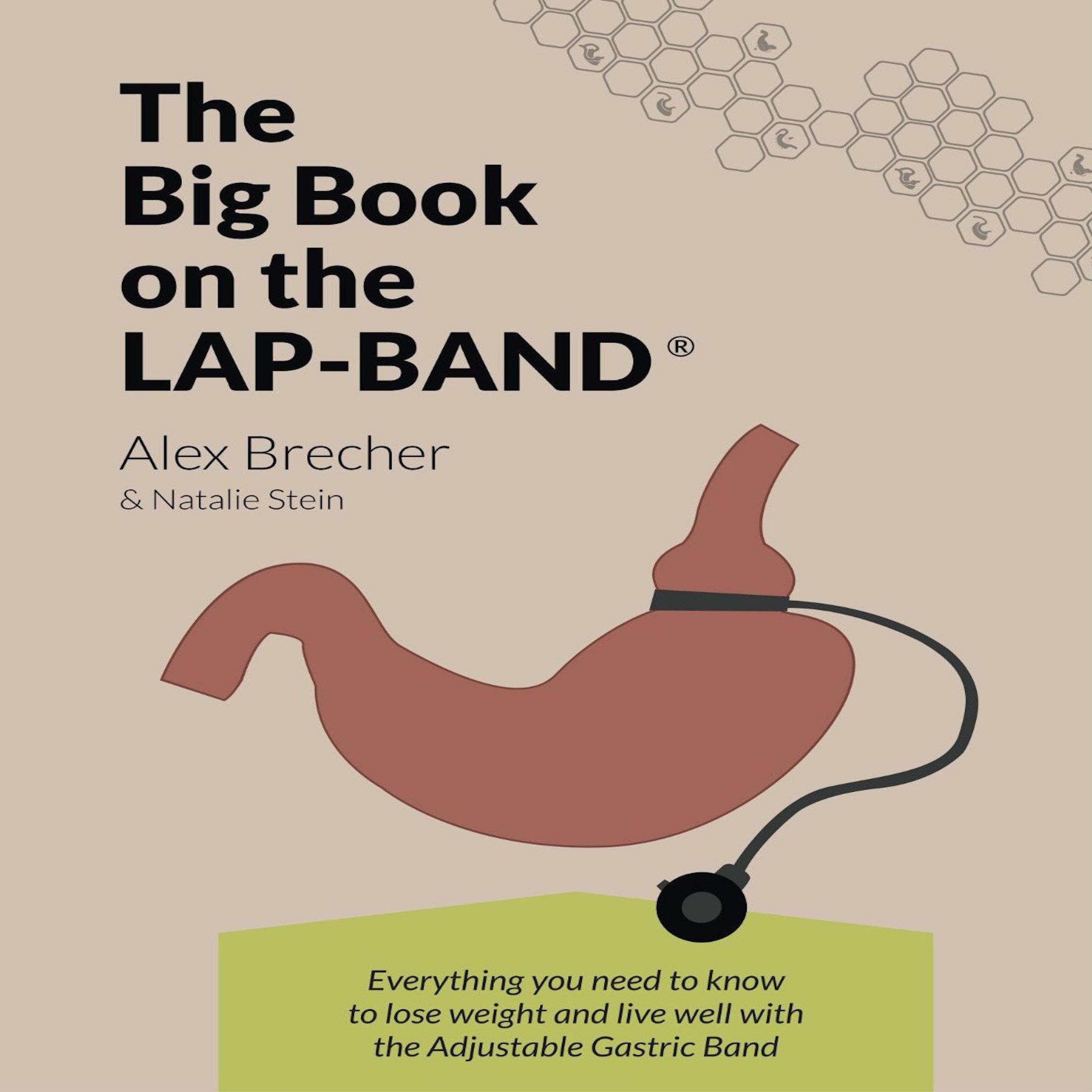 Buy The BIG Book on the LapBand Everything You Need to Know to Lose