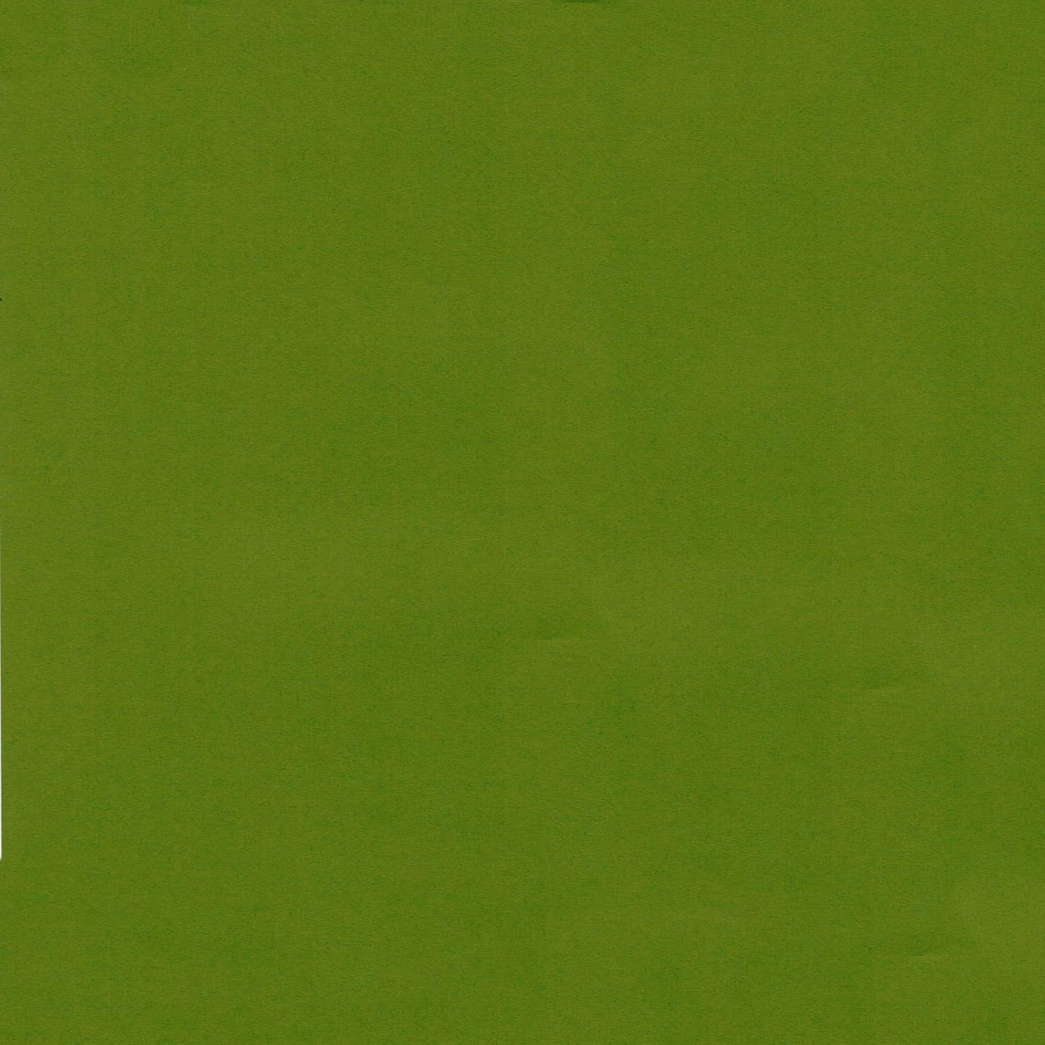 Basil Green Cardstock - 12 x 24 inch - 65Lb Cover - 25 Sheets - Clear Path Paper