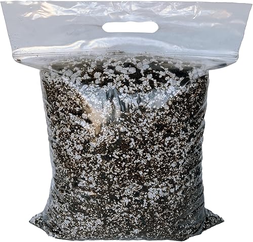 Miniatura 2 de rePotme Suelo suculento (bolsa estándar, cactus de Navidad)