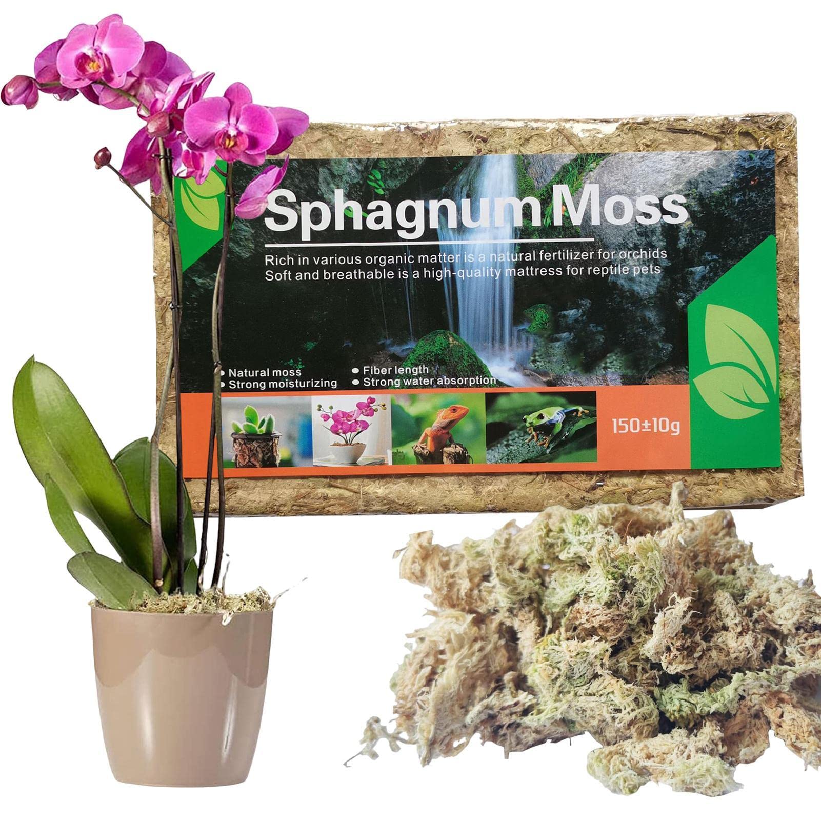 Cheysrae 5 Langfaseriges Torfmoos - Orchidee Torfmoos getrocknet | Tolle Orchideen-Erdmischung, perfekt für die Pflanzenvermehrung, natürlich, 5,3 oz/150 g