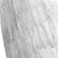 Vista 74 de Faber-Castell Polychromos Artists - Lápiz individual - Color 188 Sanguine