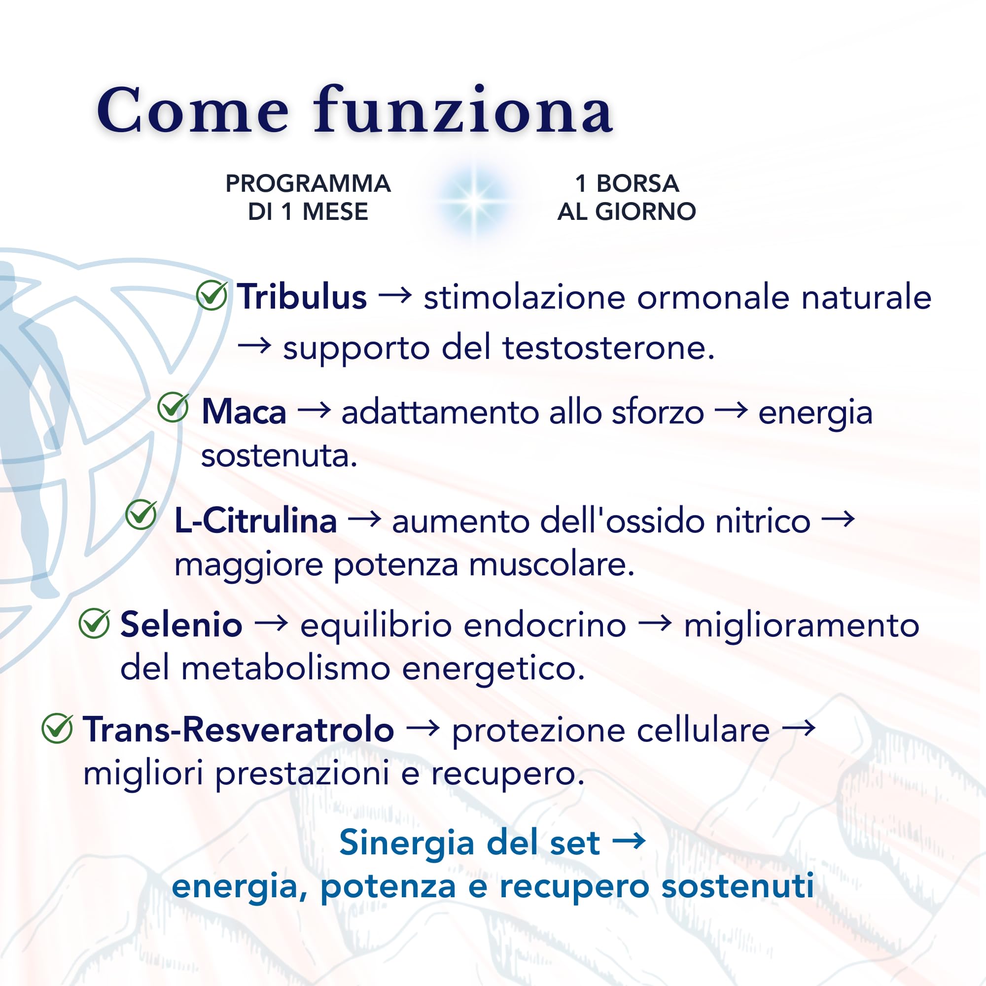 Tribulus Terrestris, Maca, L-Citrullina, Trans-Resveratrolo, Selenio - SmartAbsorb™ | per energia, circolazione e immunità | 28 bustine giornaliere