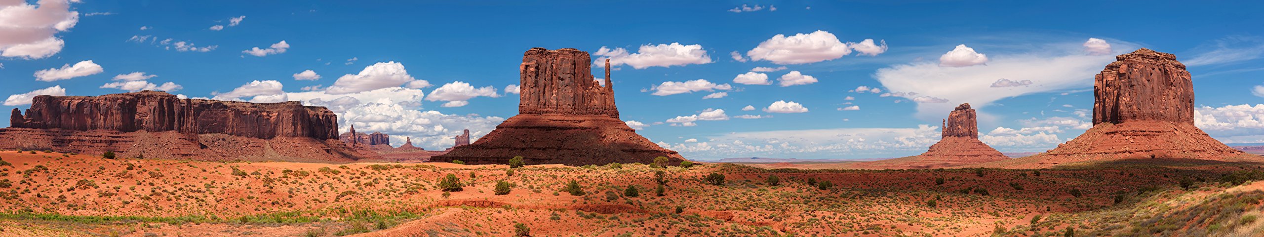 CAROLINACUSTOMCAGES Reptile Habitat Background; Monument Valley Panorama - terrarium covers | Mubboo