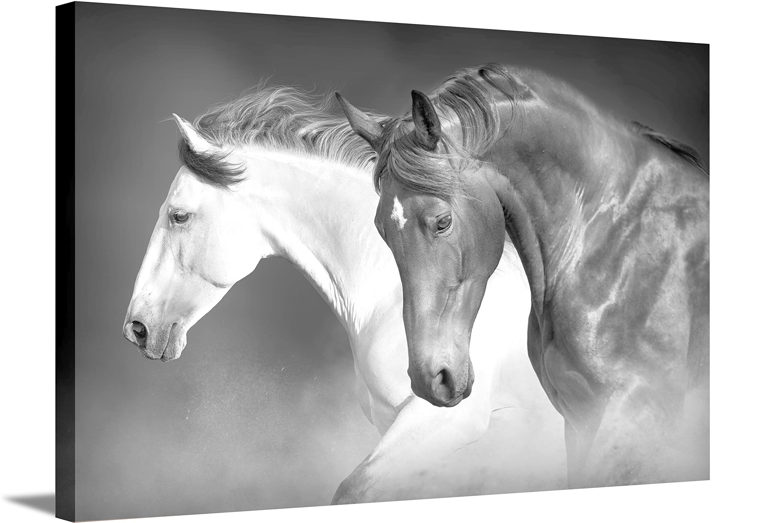 Buy Vellato canvas wall art Black and white horses Decor Painting