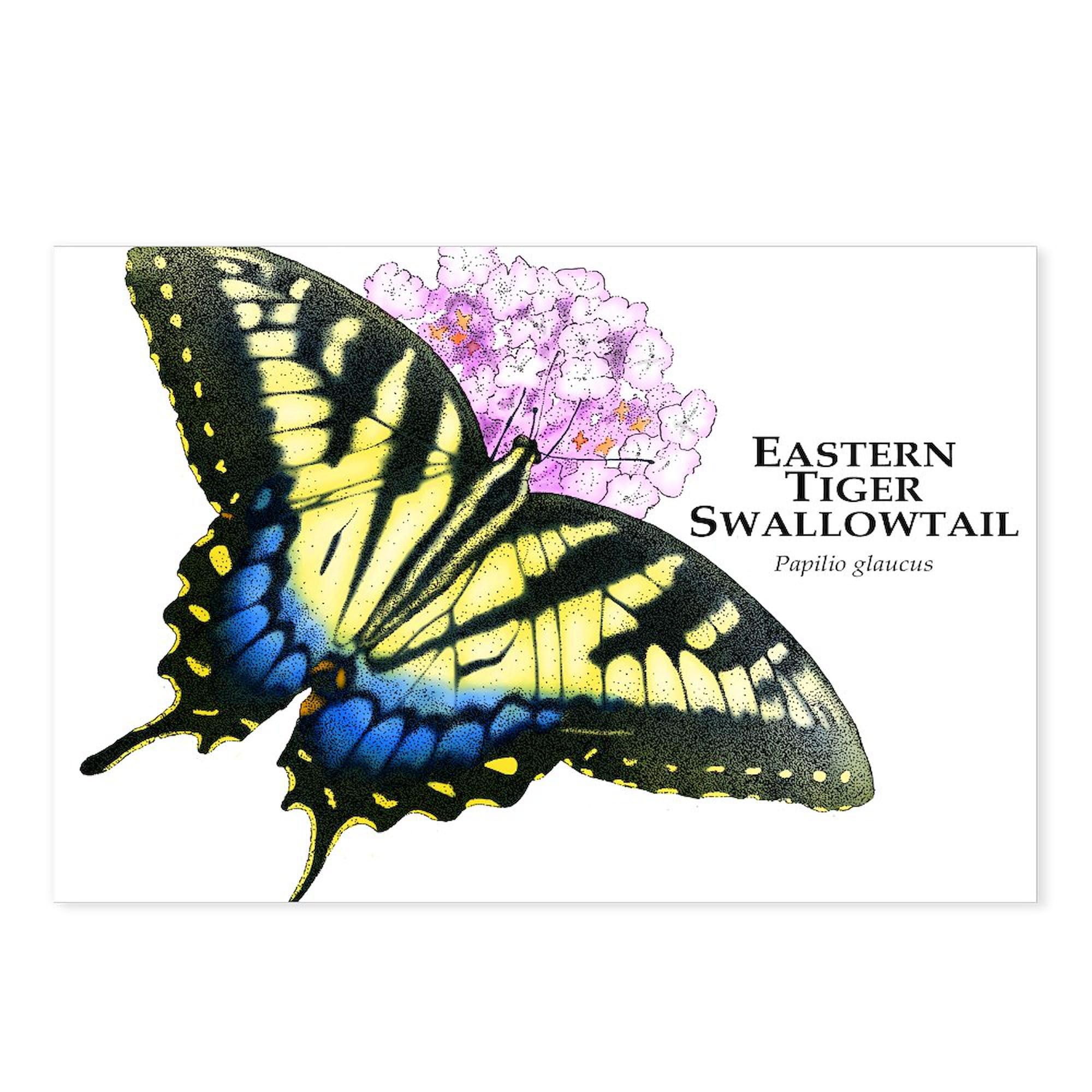 CafePress Eastern Tiger Swallowtail Butterfly Postcards (Pac Postcards (Package of 8), 6"x4" Printed Note Card