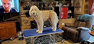 Review Image by Anthony burkel Anthony burkel