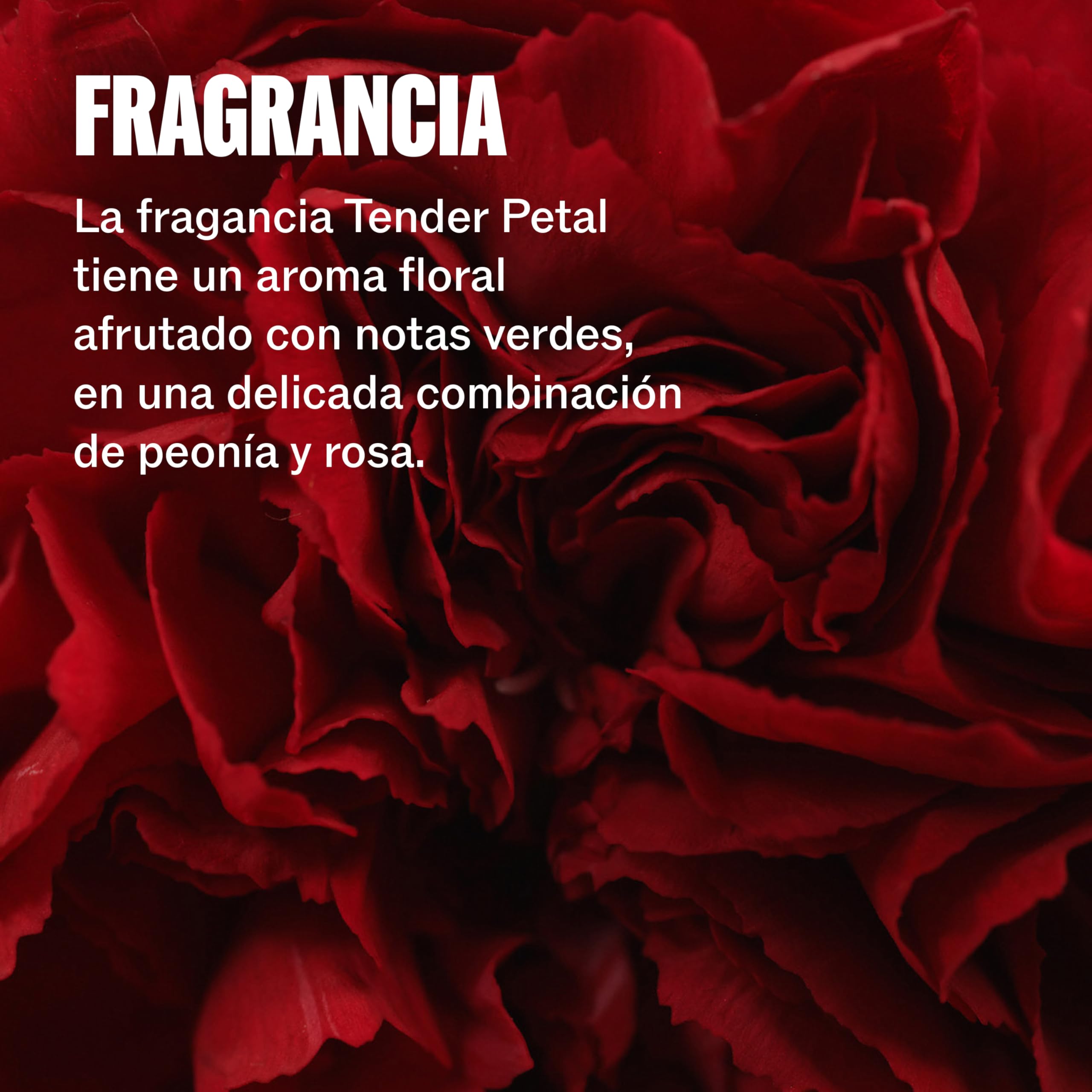 Wella Professionals ULTIMATE REPAIR Champú Profesional para Cabello Dañado