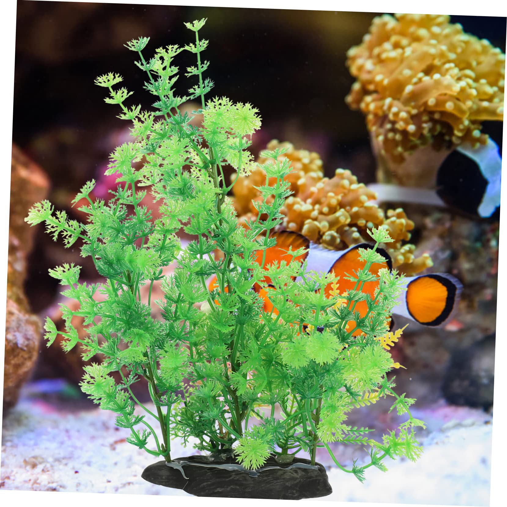 Sosoport 4 Sätze Aquarienlandschaft Kunstpflanze Zarte Aquarienpflanze Aquariumzubehör Aquariumdekor Gefälschte Haushaltspflanze Desktop-Aquarium- Aquarienanlage Plastik 2 Stück * 4